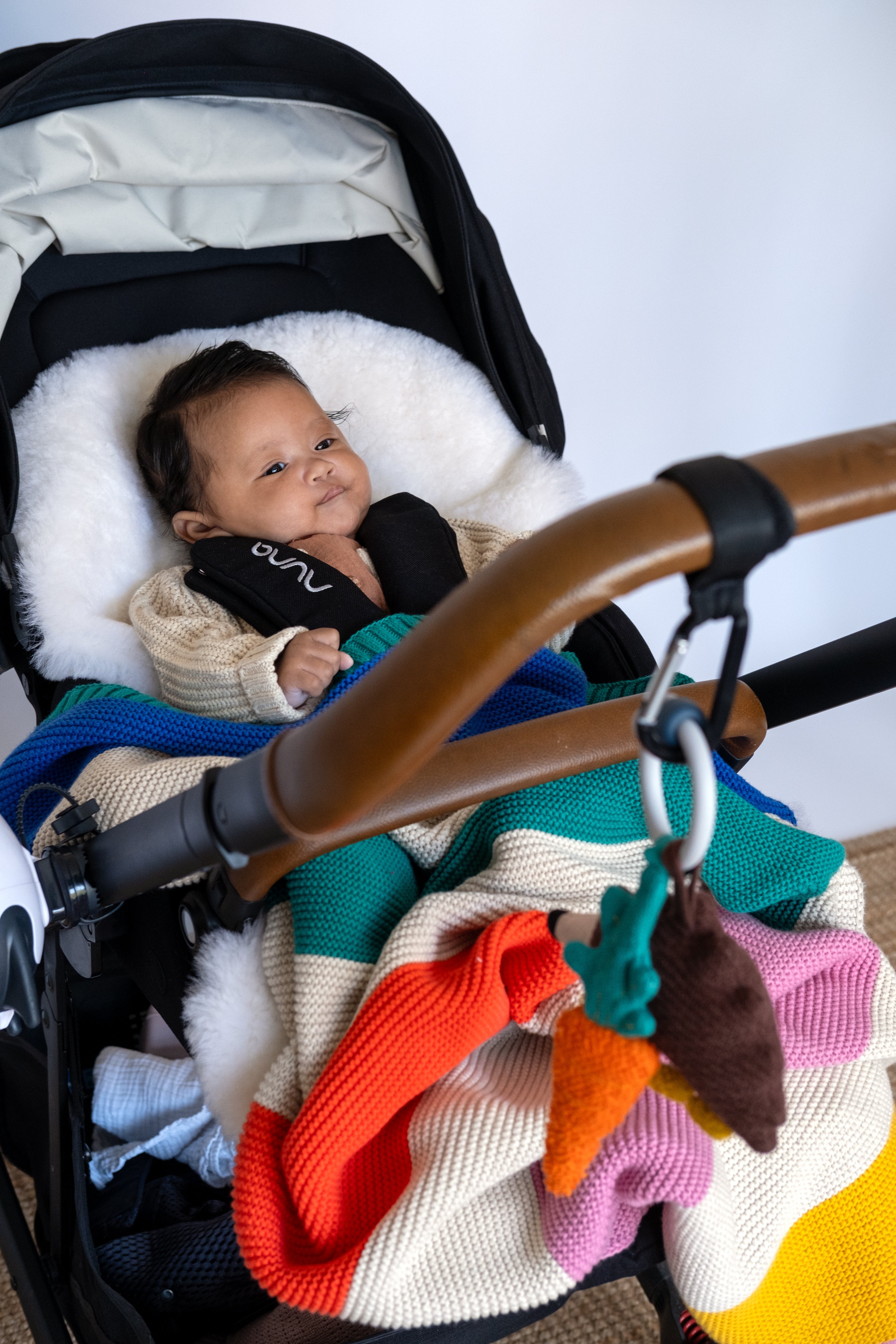 Hedgehog Activity Ring