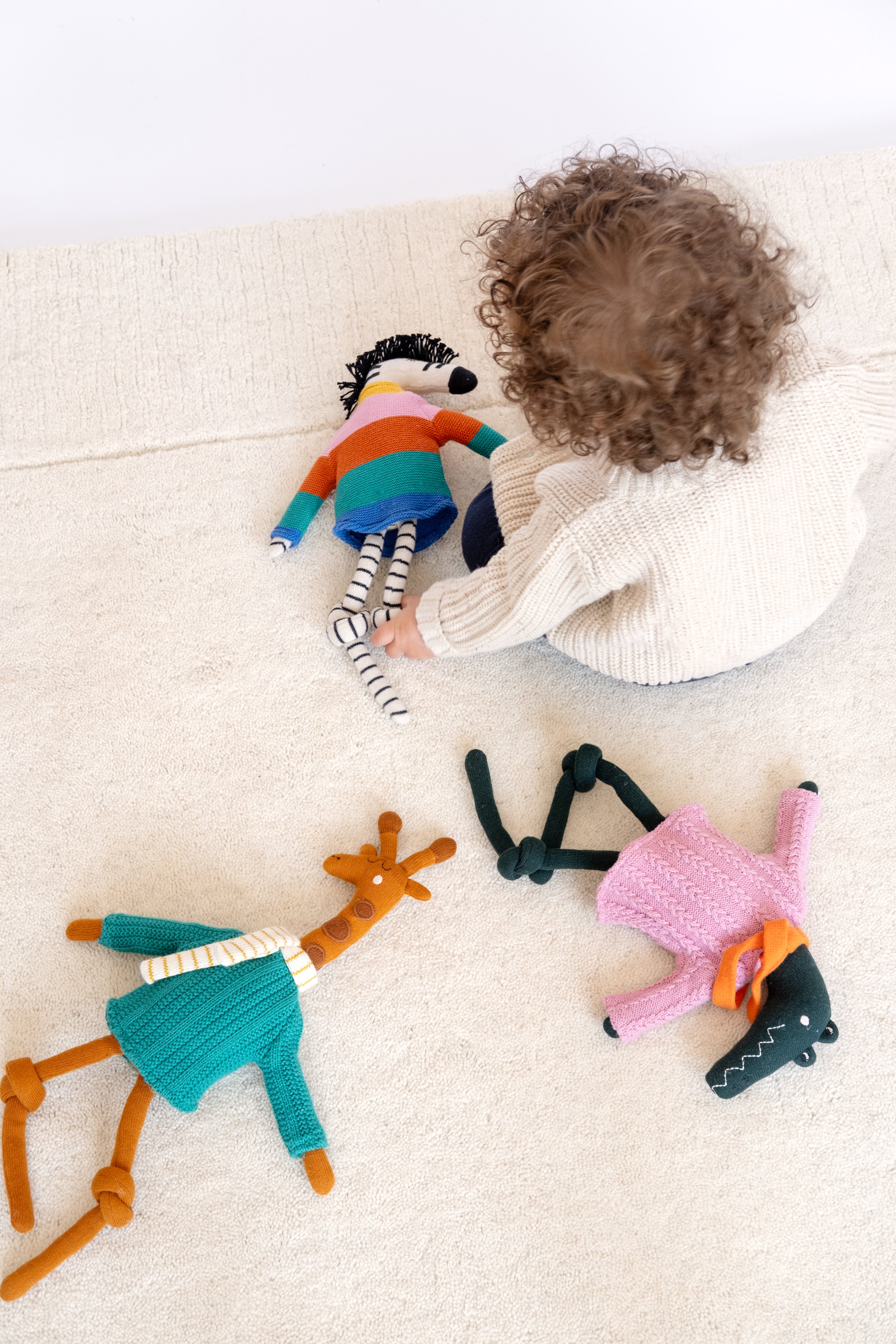 Zebra Ragdoll: Rainbow