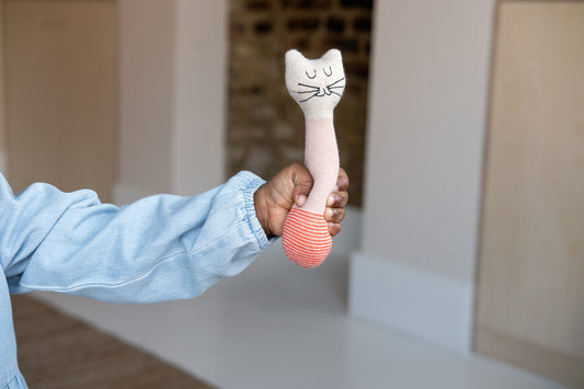 Cat Rattle: Pink